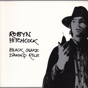 Robyn Hitchcock - Black Snake Diamond Role - Zortam Music