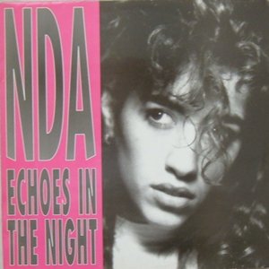 Echoes In The Night