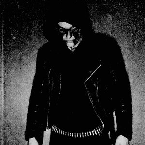 Myotis Sodalis 的头像