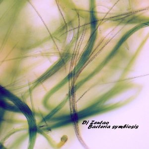 Bacteria Symbiosis