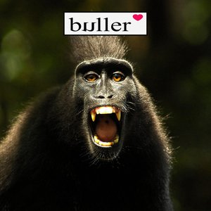 buller 2