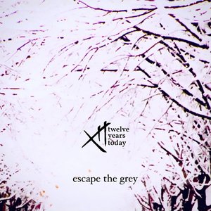 Escape the Grey