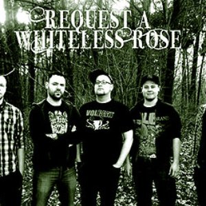 Avatar for request a whiteless rose