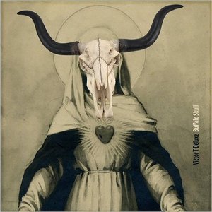 Buffalo Skull