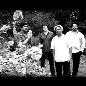 The Love Band 的头像