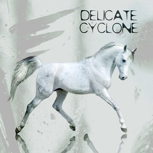 Delicate Cyclone