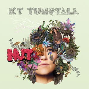 KT Tunstall - Nut - Zortam Music