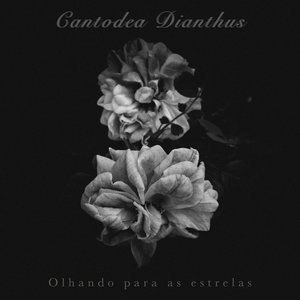 Olhando Para As Estrelas