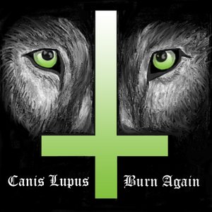 Burn Again