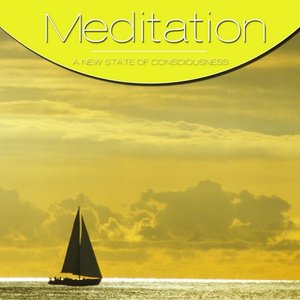 Meditation Vol. Yellow