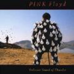 Avatar for 1988 - Delicate Sound Of Thunder