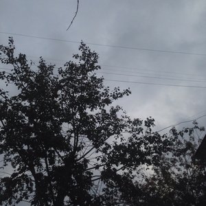 Gxitt 的头像