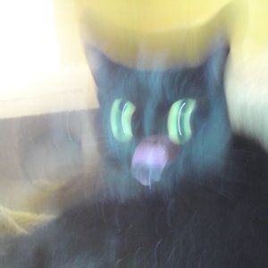Second EP