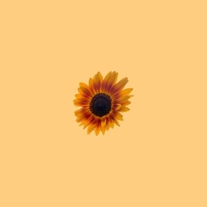 Sweet Nostalgia - Single