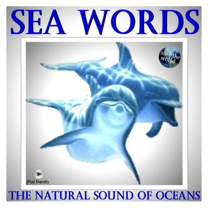The Natural Sound Of Oceans