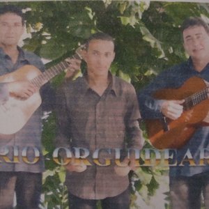 Avatar de Trio Orguideario