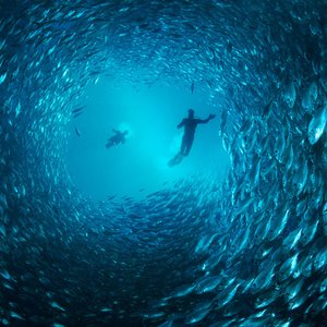 Underwater Love Sequences