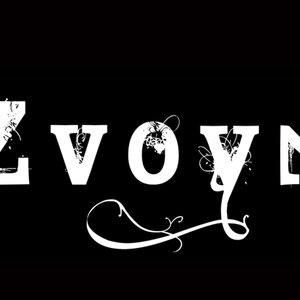 Image for 'Zvoyn'