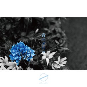 the blue dahlia