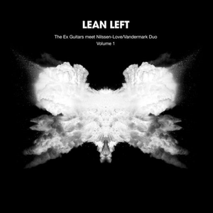 Left Lung cover