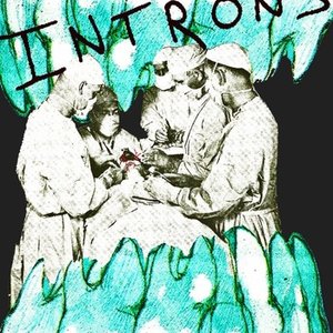 Introns 的头像