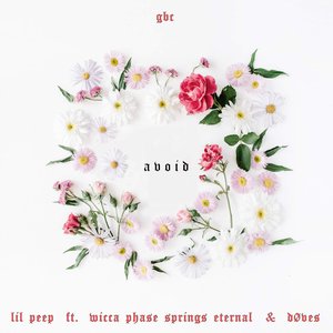 Avoid (feat. Wicca Phase Springs Eternal & Døves) - Single