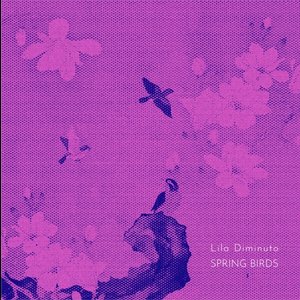 Spring Birds