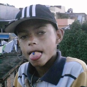 Zoio de Gato