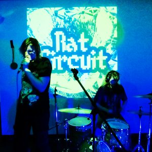 Rat Circuit 的头像