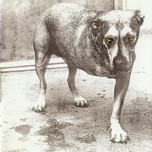 Alice in Chains