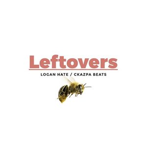 Leftovers