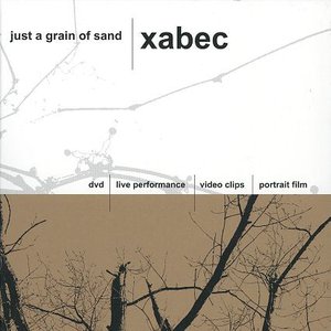 Just A Grain Of Sand-DVD