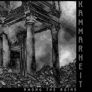 Image for 'Among the Ruins'