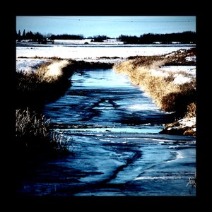 transience