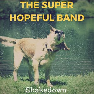 Immagine per 'The Super Hopeful Band'