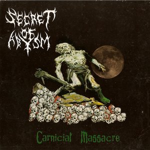 Secret of abysm 的头像