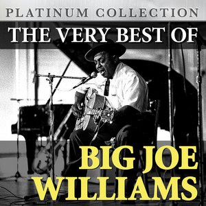 The Very Best of Big Joe Williams