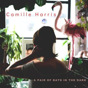 A Pair of Bats in the Dark