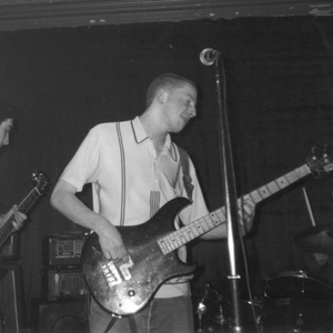 Baby Harp Seal photo provided by Last.fm