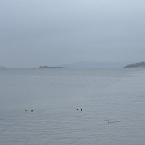 i should accept it - Single