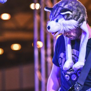 Husky by the Geek 的头像