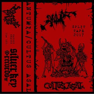 Antumia / Cultus Asal
