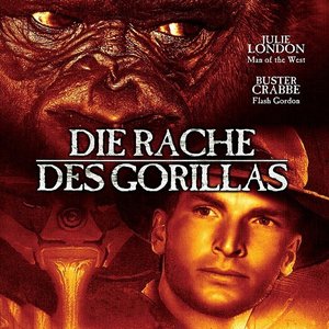 Die Rache des Gorilla 的头像