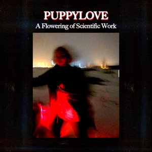 A Flowering of Scientific Work