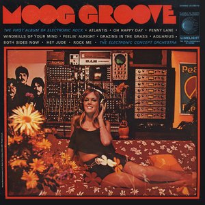 Moog Groove