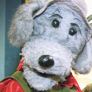 Avatar for Ransu Karvakuono