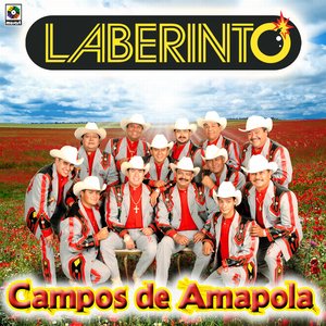 Campos De Amapola - Laberinto