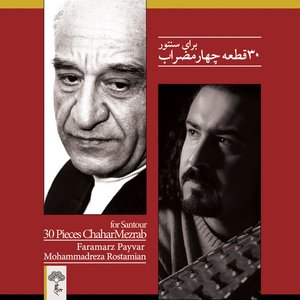 30 Pieces ChaharMezrab for Santour
