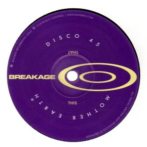 disco 45 / mother earth