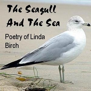 Imagen de 'The Seagull And The Sea: Poetry of Linda Birch'